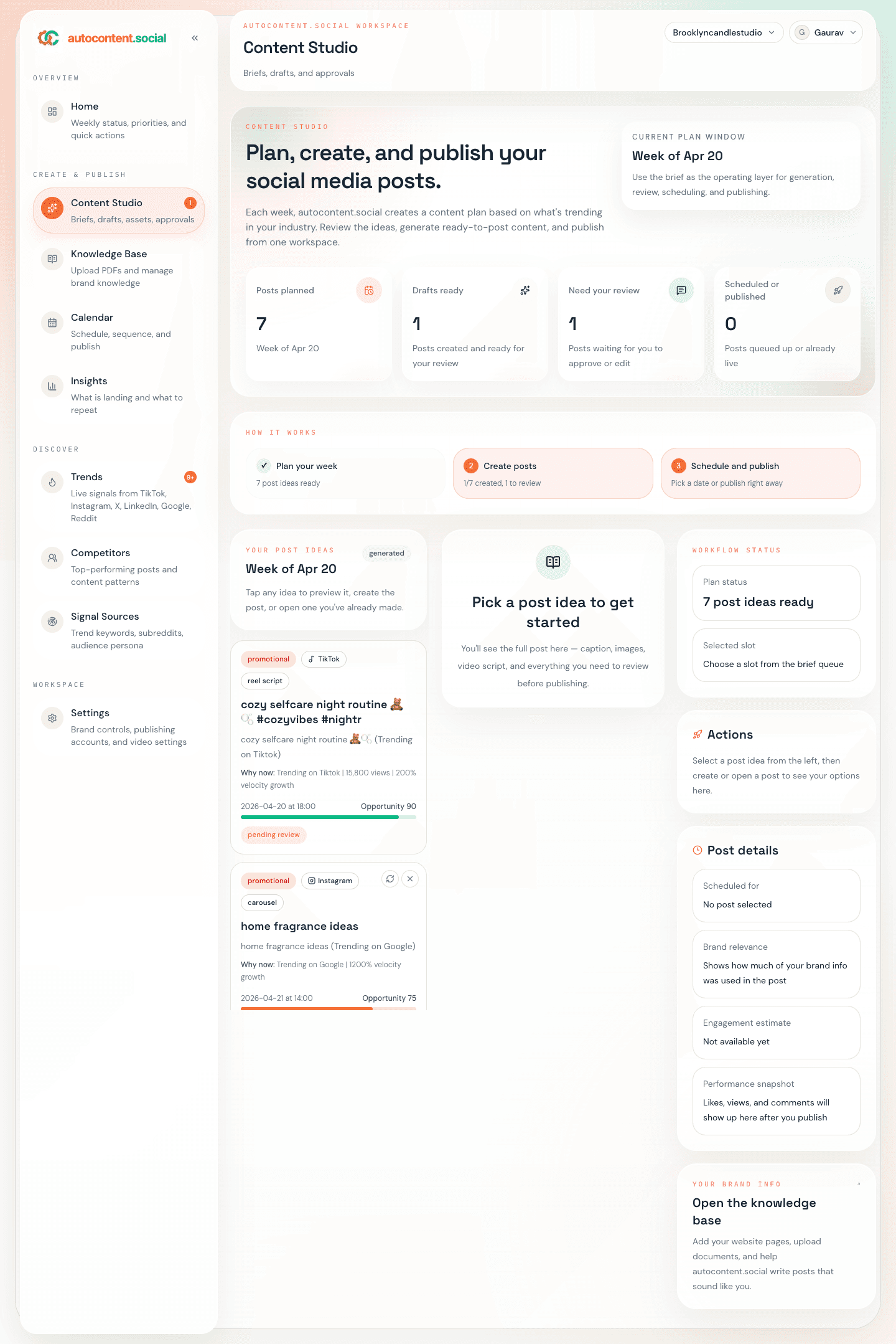 Brief to publish-ready in one place.